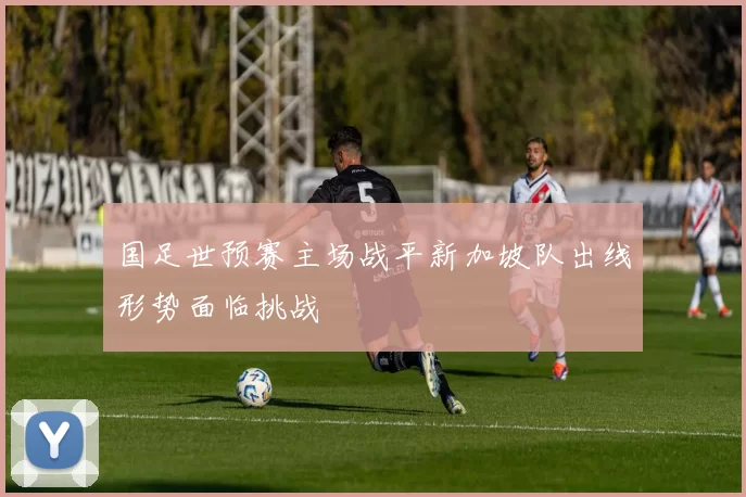 国足世预赛主场战平新加坡队出线形势面临挑战
