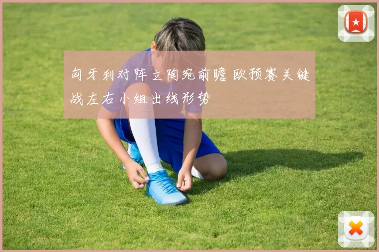 匈牙利对阵立陶宛前瞻 欧预赛关键战左右小组出线形势